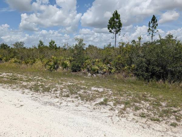 ST PETERSBURG DR, Indian Lake Estates, FL 33855