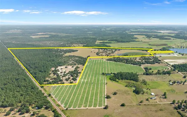 1980 LAKE BUFFUM RD E, Fort Meade, FL 33841
