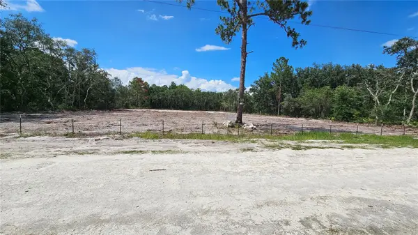 35391 OVERCUP DR, Webster, FL 33597