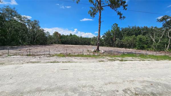 35391 OVERCUP DR, Webster, FL 33597
