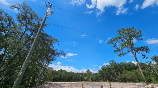 35391 OVERCUP DR, Webster, FL 33597