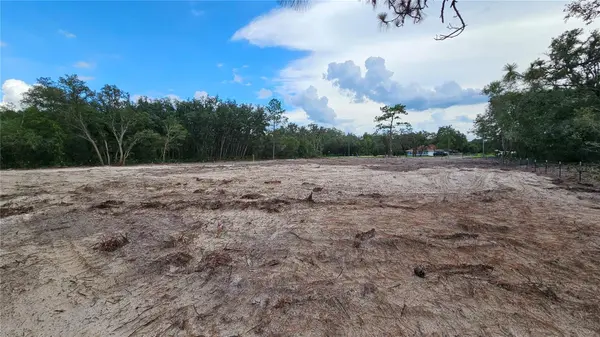 35391 OVERCUP DR, Webster, FL 33597