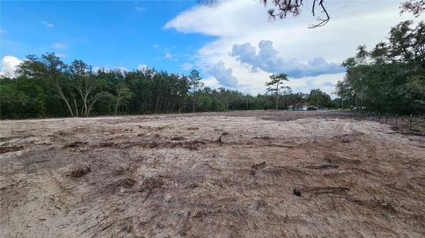 35391 OVERCUP DR, Webster, FL 33597
