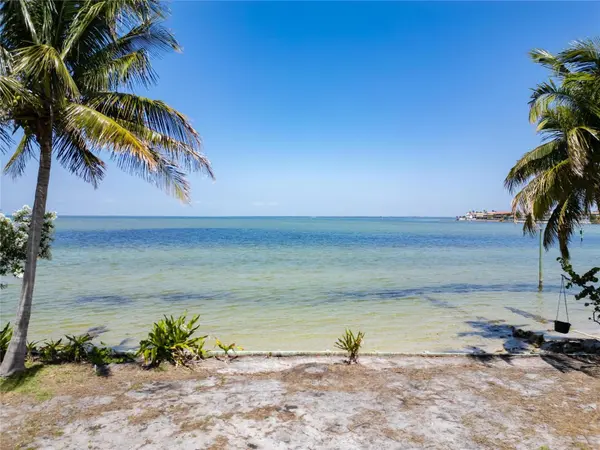 1013 SYMPHONY ISLES BLVD, Apollo Beach, FL 33572
