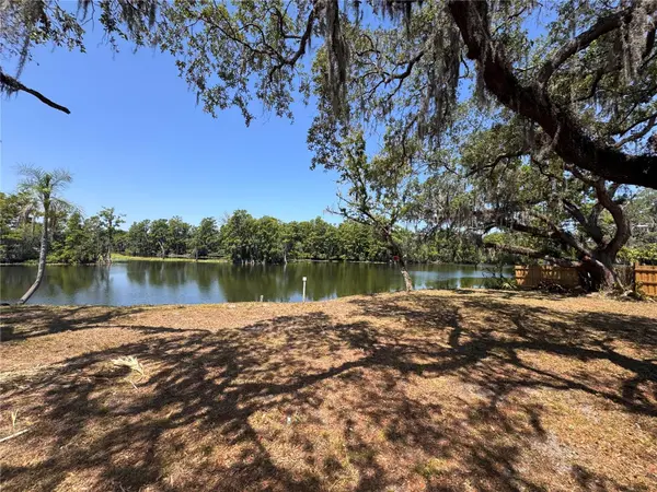 HARNEY, Tampa, FL 33617