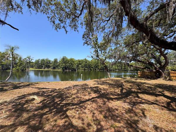HARNEY, Tampa, FL 33617