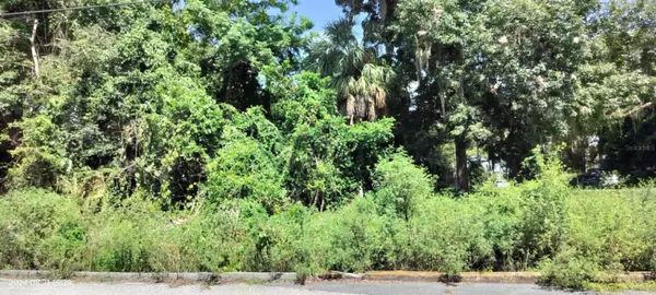 1980 S TSALA TER, Inverness, FL 34450