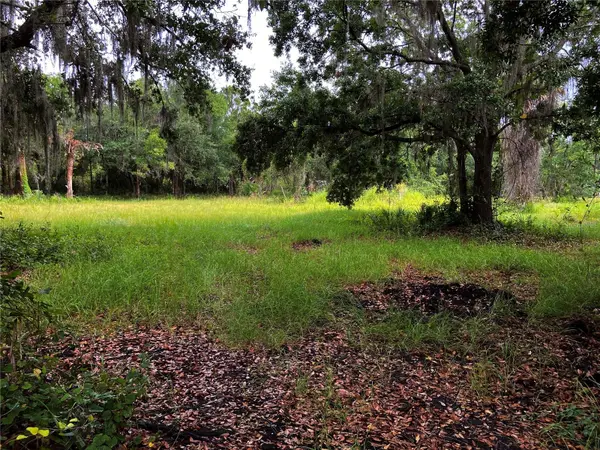 LIGHTFOOT RD, Wimauma, FL 33598