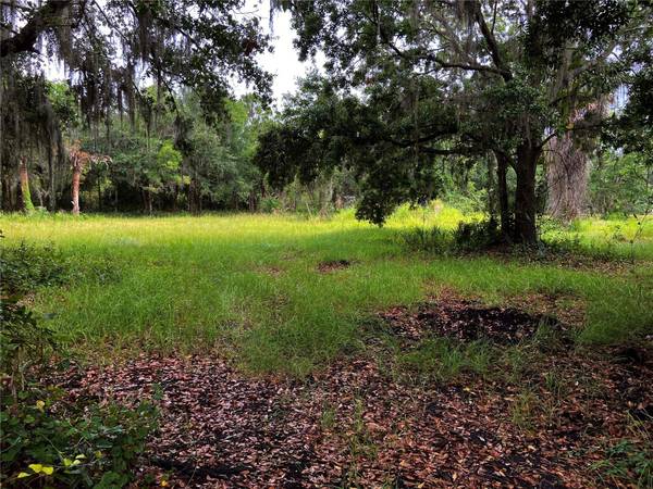 LIGHTFOOT RD, Wimauma, FL 33598