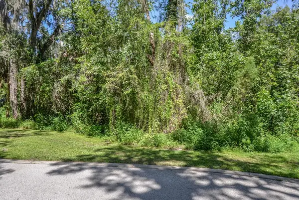 4808 RAMBLING RIVER RD, Brandon, FL 33511