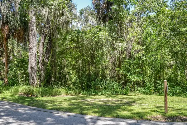 4808 RAMBLING RIVER RD, Brandon, FL 33511