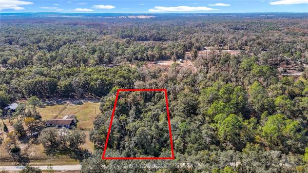 7241 SONIA AVE, Webster, FL 33597