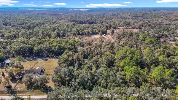 7241 SONIA AVE, Webster, FL 33597