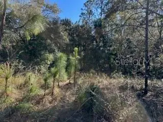 7991 N TINY LILY DR, Citrus Springs, FL 34434