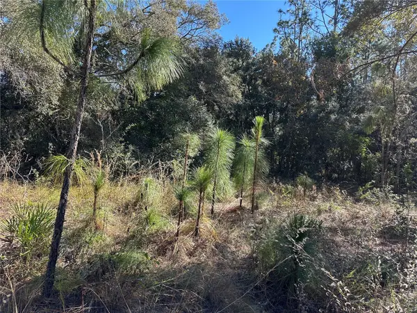 7991 N TINY LILY DR, Citrus Springs, FL 34434
