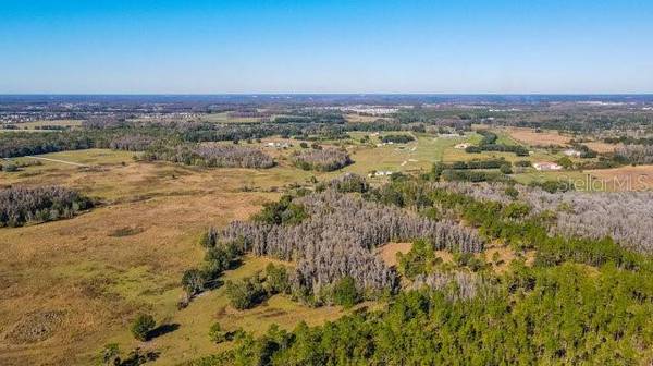 17301 MORRIS BRIDGE RD, Thonotosassa, FL 33592