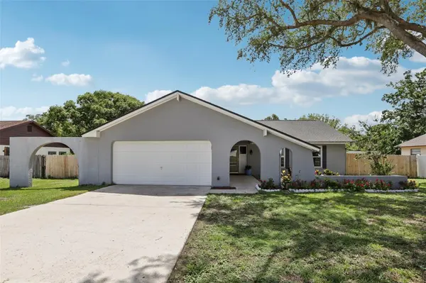 1009 BLACK KNIGHT DR, Valrico, FL 33594
