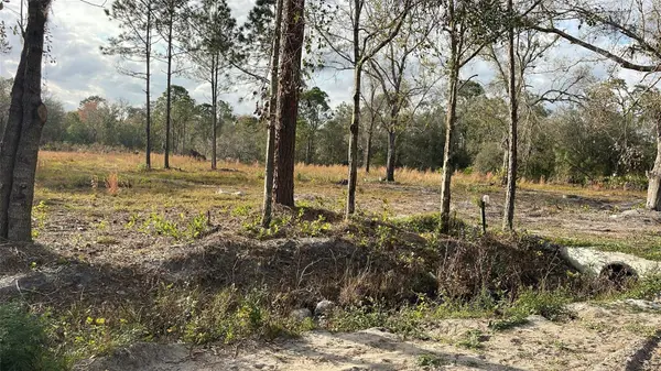 KELLY RIDGE RD, Frostproof, FL 33843