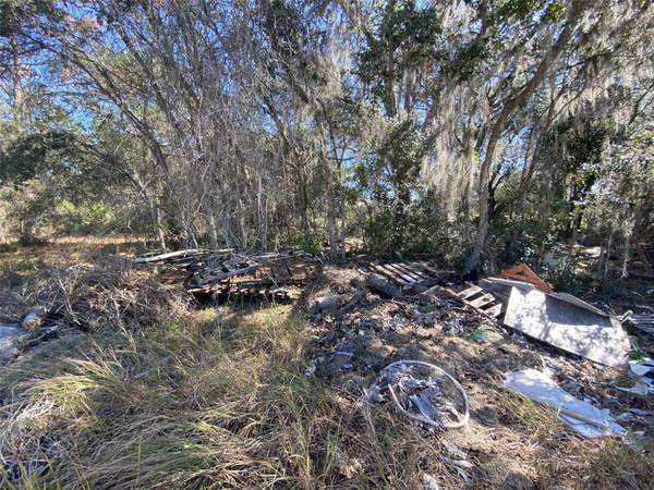 1203 VERNON LN, Kissimmee, FL 34759