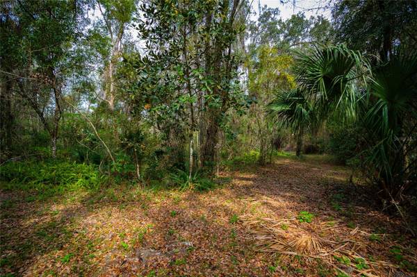 7822 CR 647, Bushnell, FL 33513