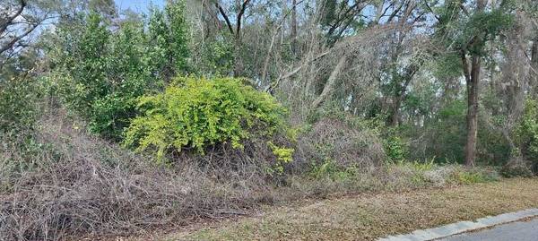 204 ADELPHI ST, Inverness, FL 34452