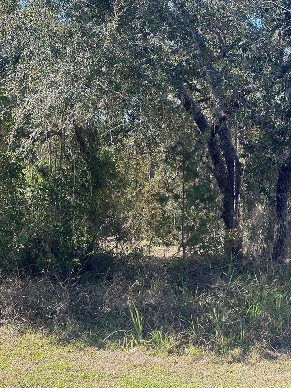 7 SWEETBAY CT, Homosassa, FL 34446