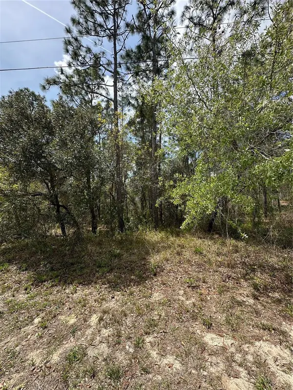 2 FRINGETREE CT, Homosassa, FL 34446