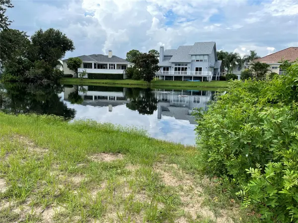 2042 N POINTE ALEXIS DR, Tarpon Springs, FL 34689