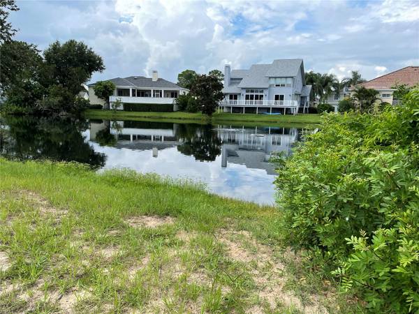 2042 N POINTE ALEXIS DR, Tarpon Springs, FL 34689