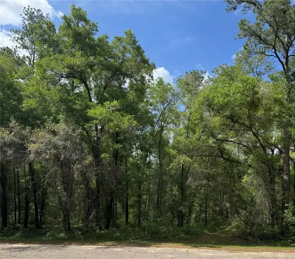 455 E AVONDALE DR, Dunnellon, FL 34434