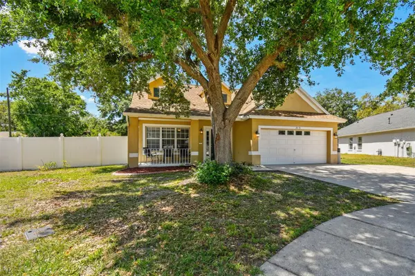 24231 SATINWOOD CT, Lutz, FL 33559