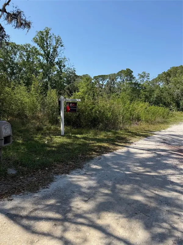 ELZA ST, New Port Richey, FL 34654