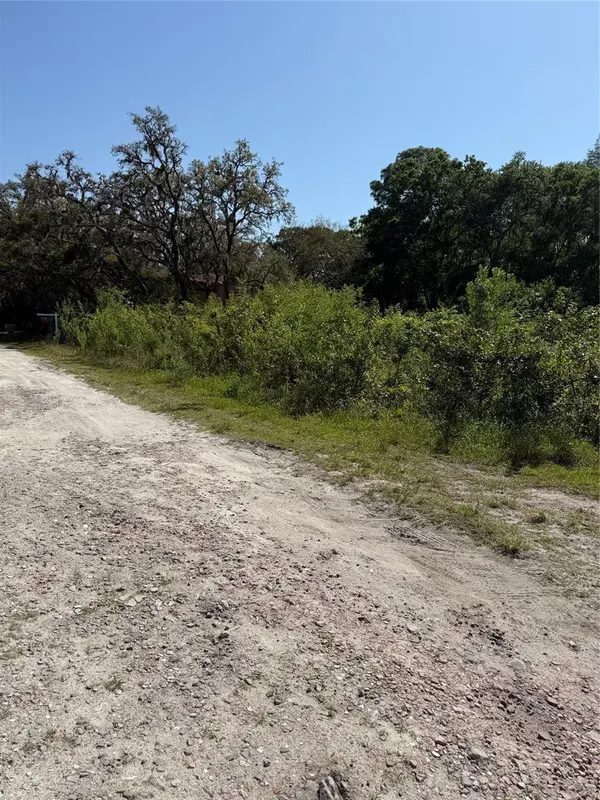 ELZA ST, New Port Richey, FL 34654