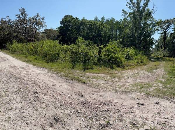 ELZA ST, New Port Richey, FL 34654
