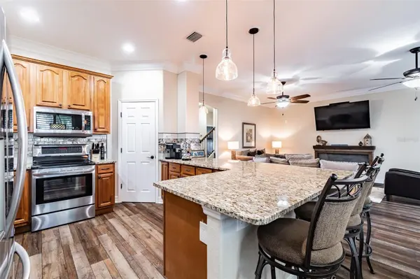 539 TREVISO DR, Apollo Beach, FL 33572