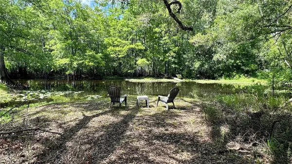 29133 LAWTON DR, Nobleton, FL 34661