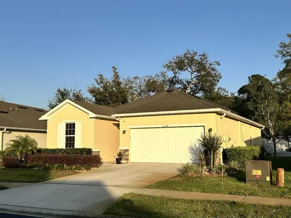 11248 MOLLYMAWK CT, New Port Richey, FL 34654