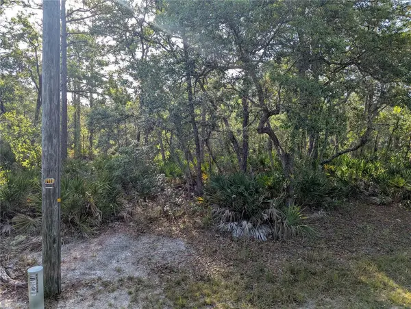 19036 RETRIEVER RD, Brooksville, FL 34614