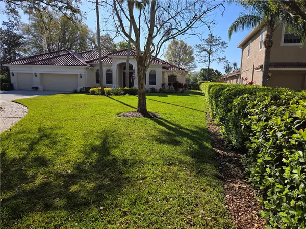 9127 WOODRIDGE RUN DR, Tampa, FL 33647