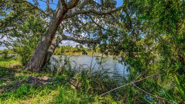 0 SEA GRAPE DRIVE #Lot 10, Hernando Beach, FL 34607