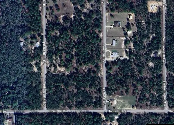 SW LEMON HILL DR, Dunnellon, FL 34431