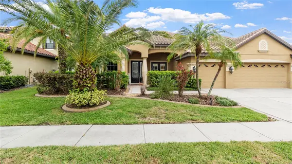 20023 PERGOLA BEND LN, Tampa, FL 33647