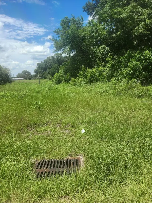 Corner SE 142ND PLACE & S US HWY-301, Summerfield, FL 34491
