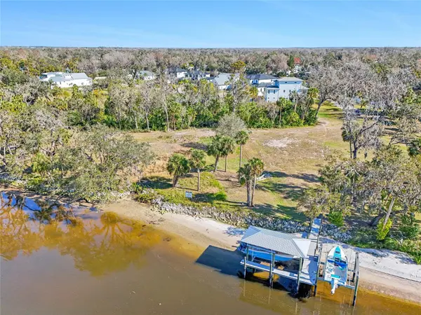 8331 ALAFIA POINTE DR, Riverview, FL 33578