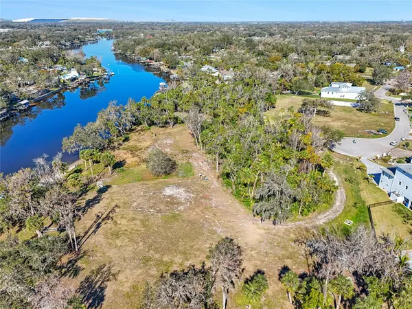 8331 ALAFIA POINTE DR, Riverview, FL 33578