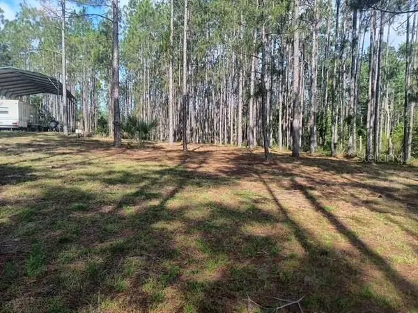 540 SW 326TH AVE, Steinhatchee, FL 32359