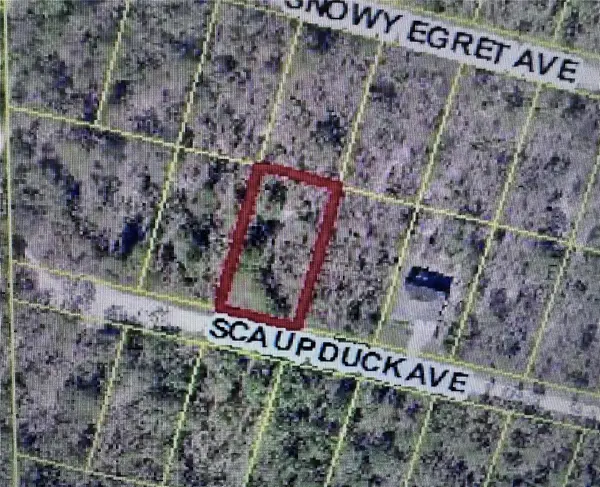 SCAUP DUCK AVE, Weeki Wachee, FL 34614