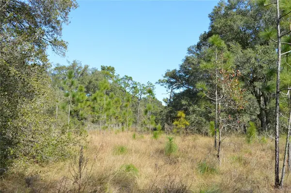 00 UNNAMED, Spring Hill, FL 34610