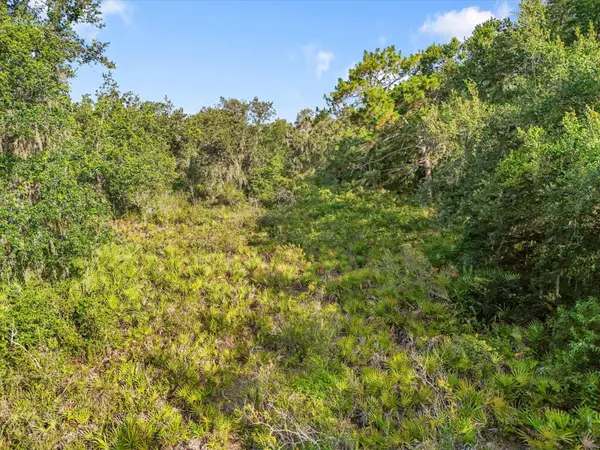 5900 N DORMANY RD, Plant City, FL 33565