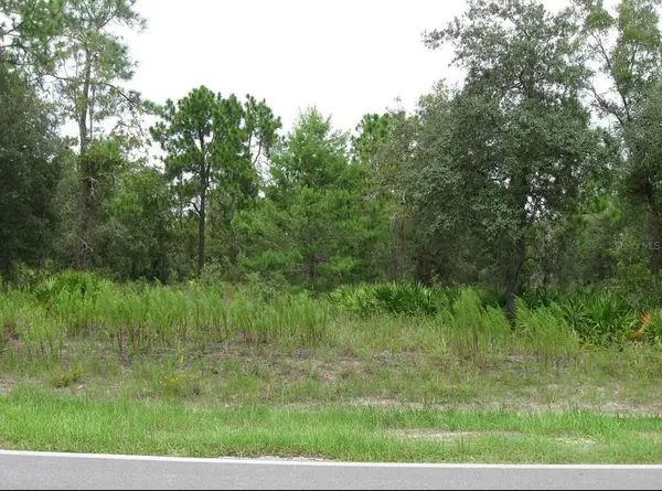 0 FULTON AVE, Weeki Wachee, FL 34613